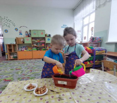 Огород на окне Огород на окне.