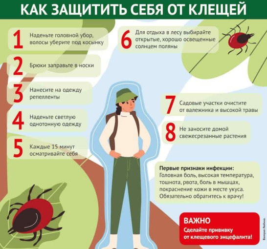 Как защитить себя от клещей на прогулке Как защитить себя от клещей на прогулке.